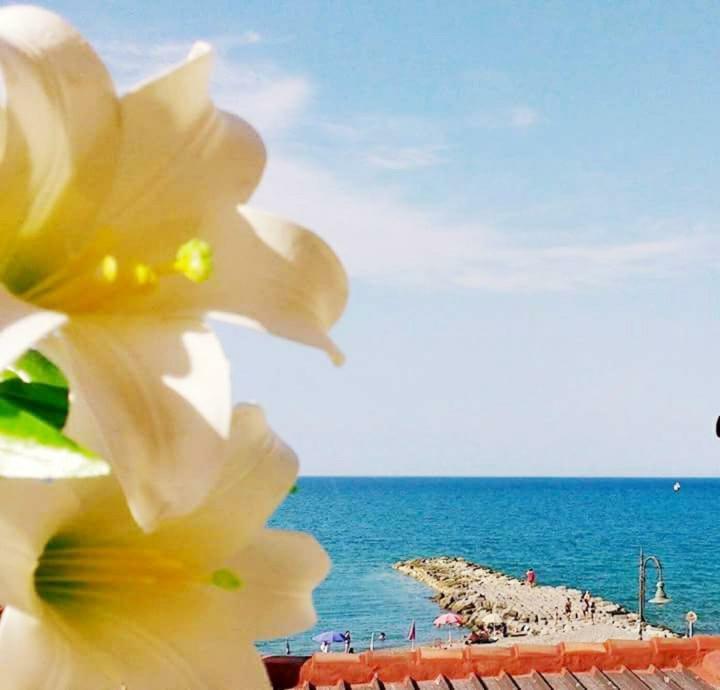 Al Giglio - Affittacamere Кариати Экстерьер фото